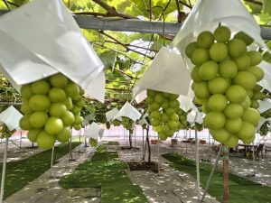 宮川イーストデンタルクリニック